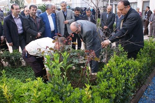 برگزاری مراسم روز درختکاری