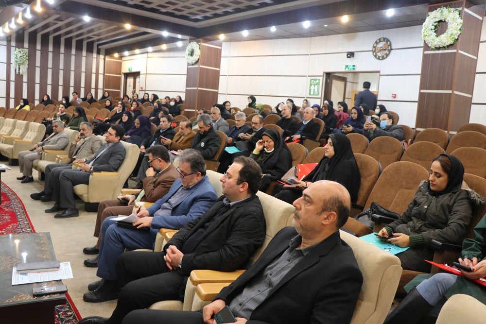 مدیرعامل شرکت گاز استان گیلان: مصرف بهینه، پایداری جریان گاز را تضمین می کند