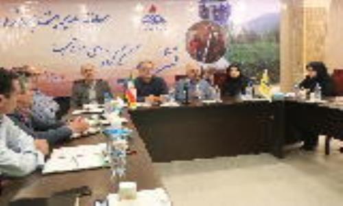 نشست کارگروه بررسی و انتخاب سامانه مدیریت پروژه به میزبانی شرکت گاز استان گیلان برگزار شد