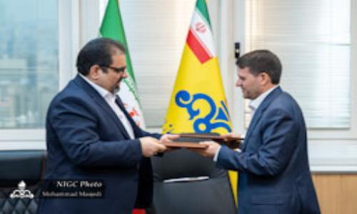 معاون وزیر نفت : سرمایه‌گذاری پتروشیمی‌ها در شرکت‌های کارور؛ گامی تازه در بهینه‌سازی مصرف گاز 