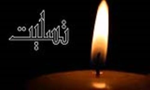 پیام تسلیت مدیرعامل شرکت گاز استان گیلان در پی جان باختن شهادت گونه پرسنل نفتکش سانچی